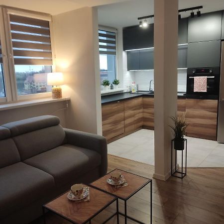 גליביצ'ה Apartament Z Widokiem Na Miasto מראה חיצוני תמונה
