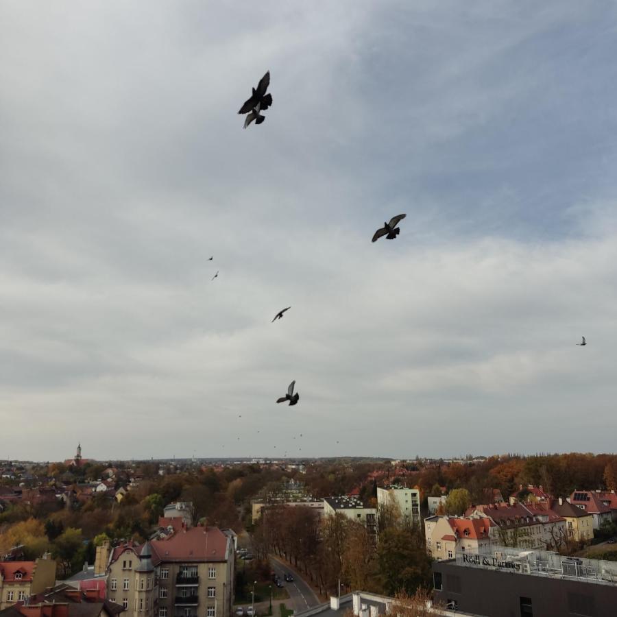 גליביצ'ה Apartament Z Widokiem Na Miasto מראה חיצוני תמונה